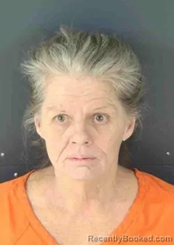 Mugshot of DIANE LOUISE DRAKE booked in Sarasota County, Florida on April 18, 2026