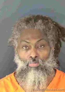 Mugshot of RAPHAEL ELBERT MCKINON booked in Sarasota County, Florida on April 24, 2026