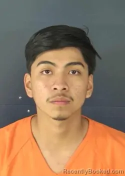 Mugshot of BRIAN KAROL REYES PEREZ booked in Sarasota County, Florida on April 24, 2026