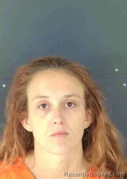 Mugshot of DEONNA REBECKA SWAN booked in Sarasota County, Florida on April 26, 2026