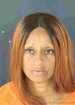 Mugshot of TASHA DIANE JAMES booked in Sarasota County, Florida on April 27, 2026