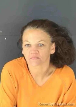 Mugshot of JENNIFER LYNN STIEG booked in Sarasota County, Florida on April 29, 2026