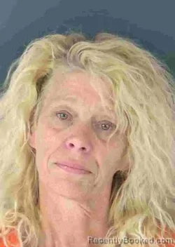 Mugshot of PATRICIA ANN WELLS booked in Sarasota County, Florida on May 1, 2026