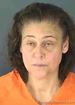 Mugshot of DAWN RENEE ANDERSON booked in Sarasota County, Florida on May 6, 2026