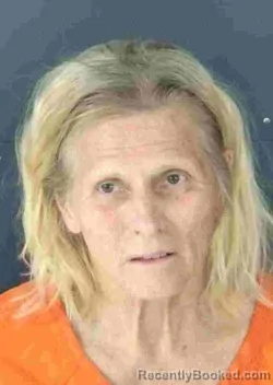 Mugshot of SARAH ELIZABETH BRUNNER booked in Sarasota County, Florida on May 7, 2026