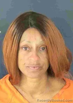 Mugshot of TASHA DIANE JAMES booked in Sarasota County, Florida on May 10, 2026