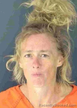 Mugshot of BRIDGETTE NICOLE DEMILLY booked in Sarasota County, Florida on May 11, 2026