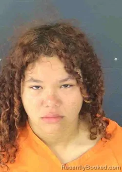 Booking photo from Sarasota County, Florida