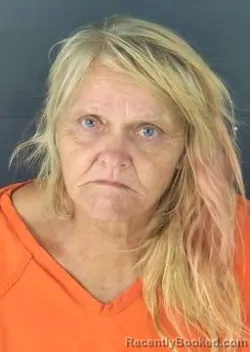 Mugshot of TAMMY LYNN MENDEZ booked in Sarasota County, Florida on June 3, 2026