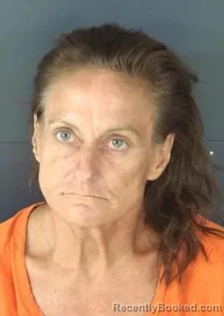 Mugshot of DEENA DOWNEY booked in Sarasota County, Florida on July 6, 2026