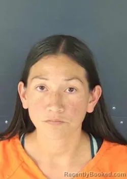 Mugshot of NEREYDA AMAYA MANZANO booked in Sarasota County, Florida on June 27, 2026