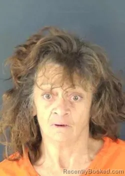 Mugshot of ALISON JAYNE LECONTE booked in Sarasota County, Florida on July 1, 2026