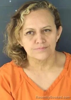 Mugshot of Loreni Araceli Itzab booked in Sarasota County, Florida on August 14, 2026