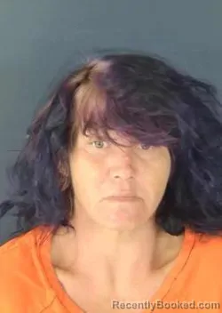 Mugshot of Amanda Jean Fleming booked in Sarasota County, Florida on August 11, 2026