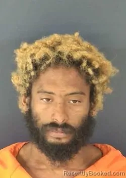 Mugshot of Jhomichael De Jesus Lebron booked in Sarasota County, Florida on August 11, 2026