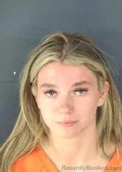 Mugshot of Chloe Marie Seifert booked in Sarasota County, Florida on August 18, 2026