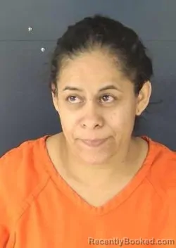 Mugshot of Veronica Gonzalez-Guerrero booked in Sarasota County, Florida on August 30, 2026