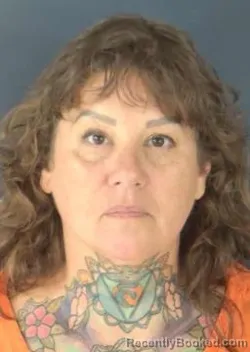 Mugshot of Tasha Elizabeth Japak booked in Sarasota County, Florida on August 31, 2026