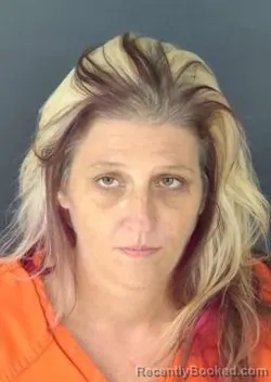 Mugshot of Whitney Nichole Hillman booked in Sarasota County, Florida on October 9, 2026