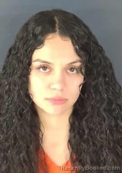 Mugshot of Julie Ayleen Rosas Ruiz booked in Sarasota County, Florida on October 17, 2026