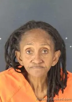 Mugshot of Virginia Ann Williams booked in Sarasota County, Florida on October 22, 2026