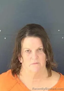 Mugshot of Jeanne Kimberly Mcdaniel booked in Sarasota County, Florida on October 25, 2026