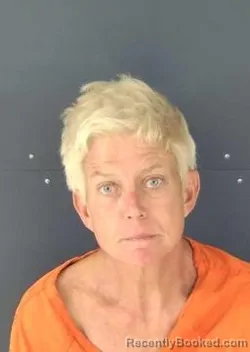 Mugshot of Diana Louise Flaherty booked in Sarasota County, Florida on October 25, 2026