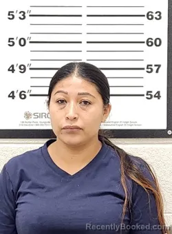 Mugshot of Matilde Patricio Zarate