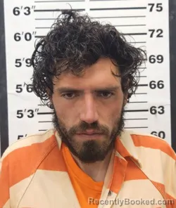 Mugshot of David Alexander Samarand