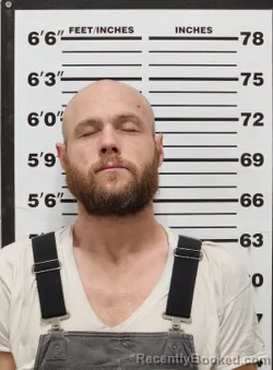 Mugshot of Donald Stanton Sutton