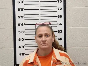 Mugshot of Trisha Dawn Stiner