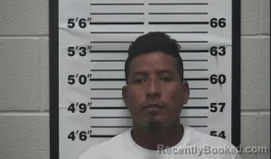 Mugshot of Tomas Calzada Hernandez booked in Thomas County, Kansas on September 13, 2026