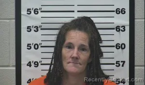 Mugshot of Linsey Ann Collins booked in Thomas County, Kansas on October 15, 2026