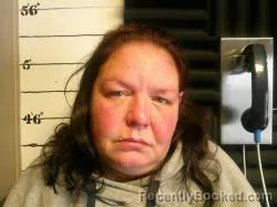 Mugshot of Dawn Michelle Meador