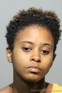 Mugshot of AYAH FREDERICK LOMAX