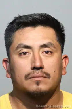 Mugshot of ELFIDO DOMINGO BRAVO