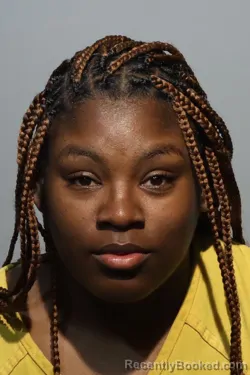 Mugshot of DESTINIE ELAINE WILLIAMS