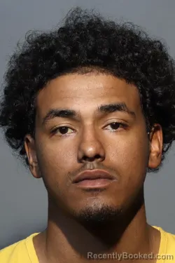 Mugshot of YOMAR ABRAHAN MIJARES CIANFAGLIONE