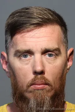 Mugshot of JOSHUA WELLS