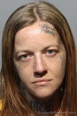 Mugshot of ALICIA NEMARIC
