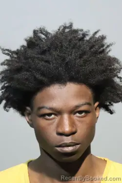 Mugshot of BRANDON PERKINS