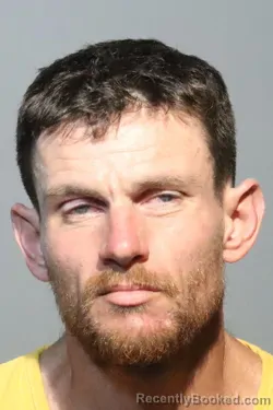 Mugshot of BRENNAN DOWLING