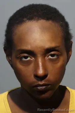 Booking photo from Seminole County, Florida