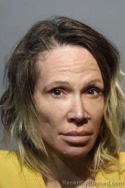 Booking photo from Seminole County, Florida