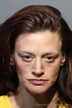 Mugshot of STEPHANIE LYNN PAJOWSKI