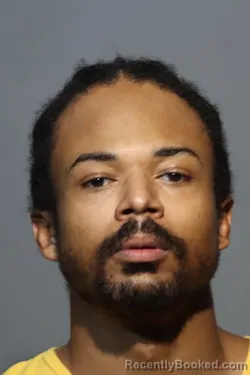 Mugshot of RICARDO JEFFERIES