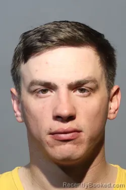 Mugshot of DEAN WILLIAMS