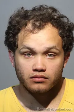 Mugshot of DEREK ALFONSO CURRY
