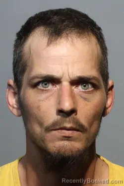 Mugshot of LEO SKILLITER