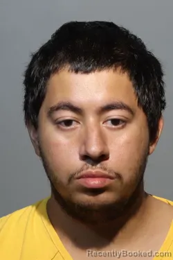 Mugshot of ANGEL ANDRES VALLE